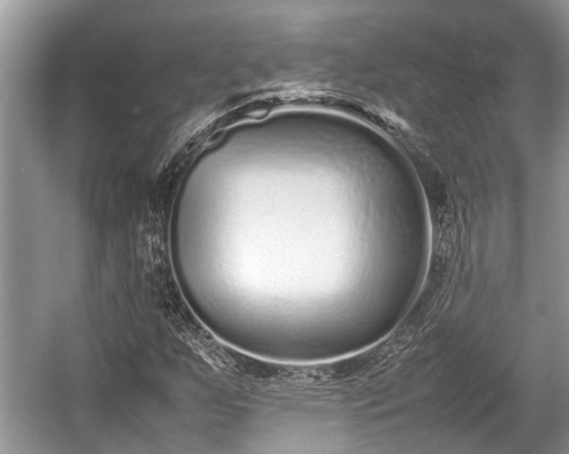 X0000057061255200509161442