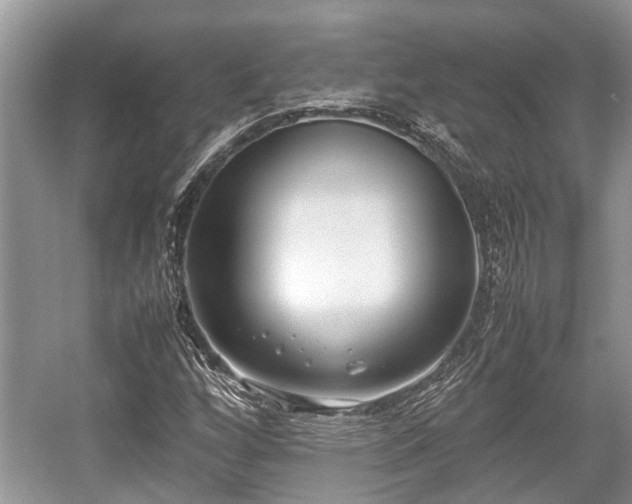 X0000057061256200509161442