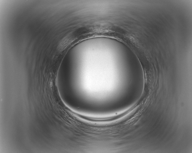 X0000057061257200509161442