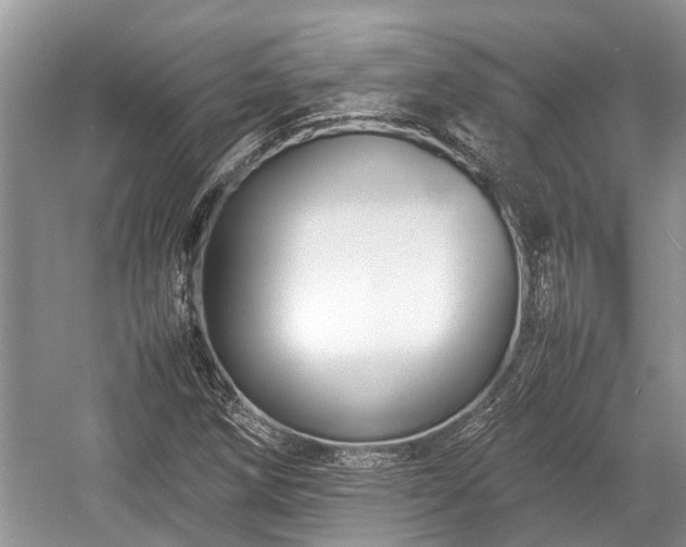 X0000057061258200509161442