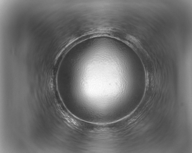 X0000057061260200509161442