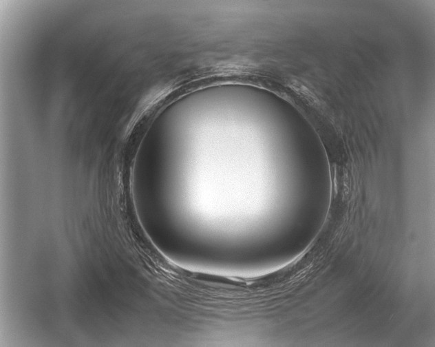 X0000057061261200509161442