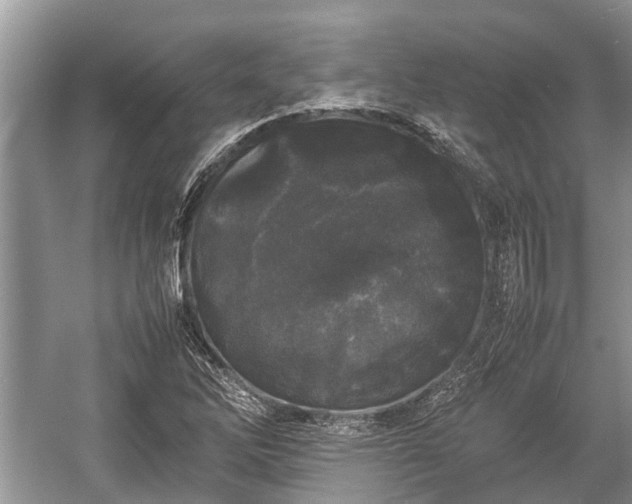 X0000057061262200509161442