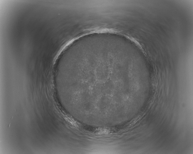 X0000057061263200509161442