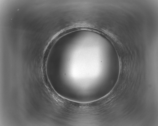 X0000057061264200509161442