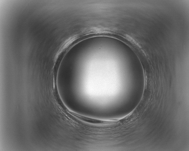 X0000057061269200509161442