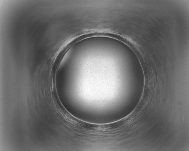 X0000057061271200509161442