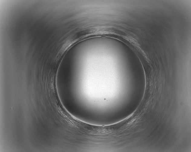 X0000057061273200509161442