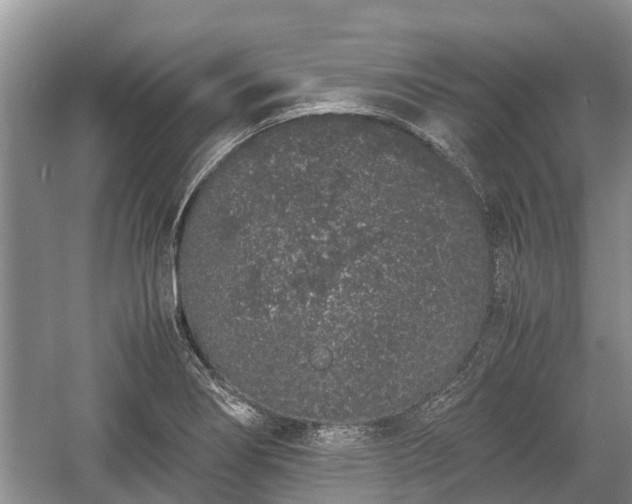 X0000057061274200509161442