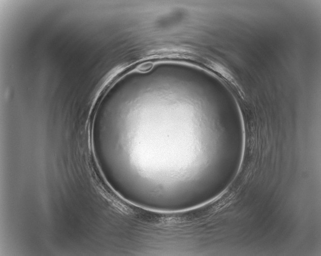 X0000057061275200509161442