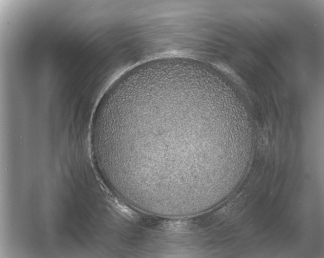 X0000057061278200509161442