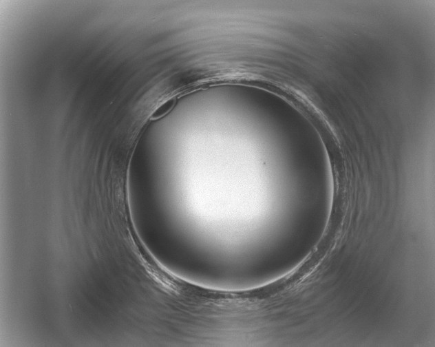 X0000057061281200509161442