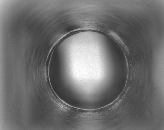 X0000057061284200509161442