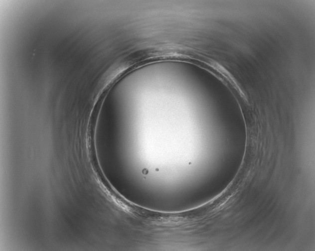 X0000057061285200509161442