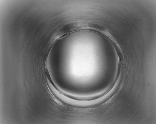 X0000057061289200509161442