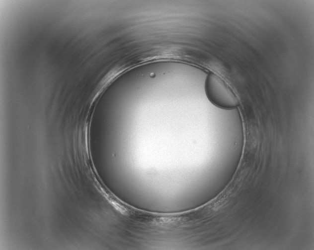 X0000057061290200509161442