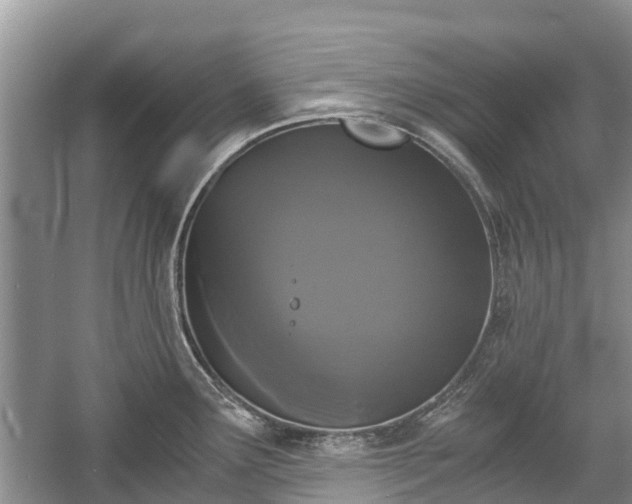 X0000057061291200509161442