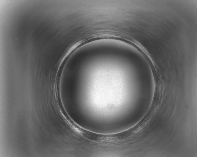 X0000057061293200509161442