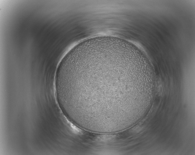 X0000057061294200509161442