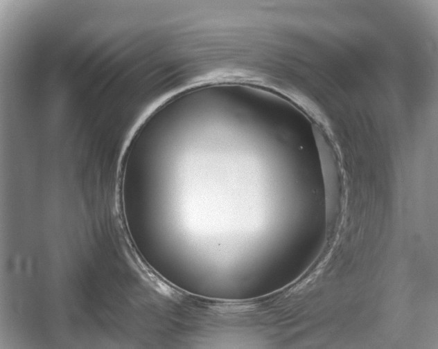 X0000057061296200509161442