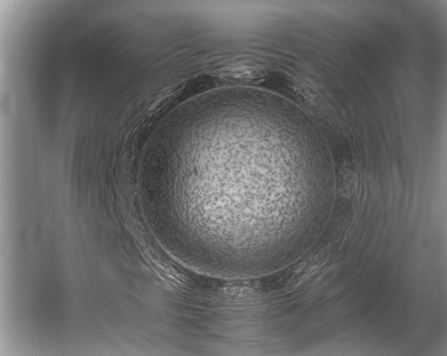 X0000057061297200509161441