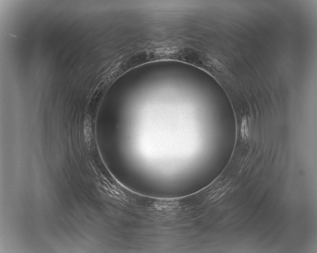 X0000057061299200509161441