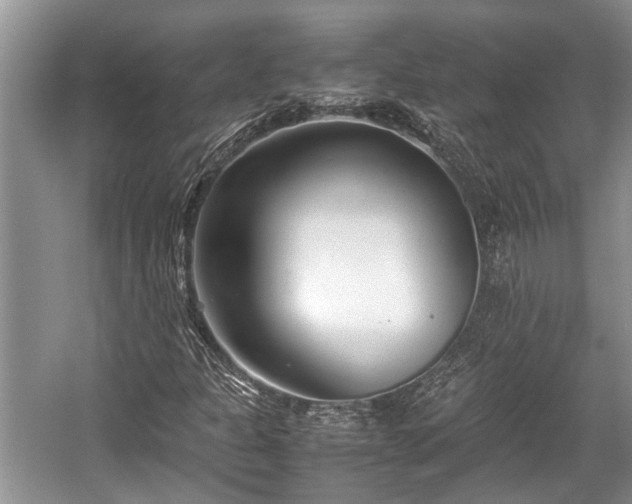 X0000057061301200509161441