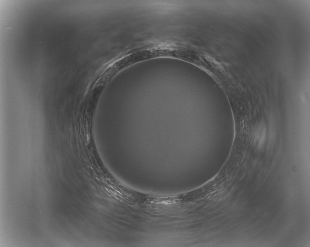 X0000057061303200509161441