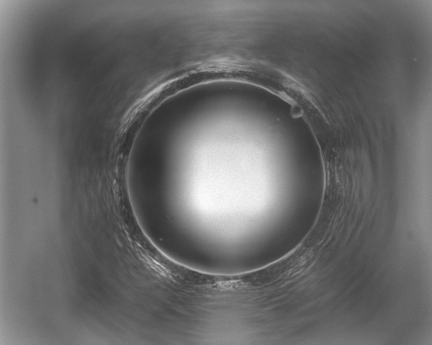 X0000057061304200509161441