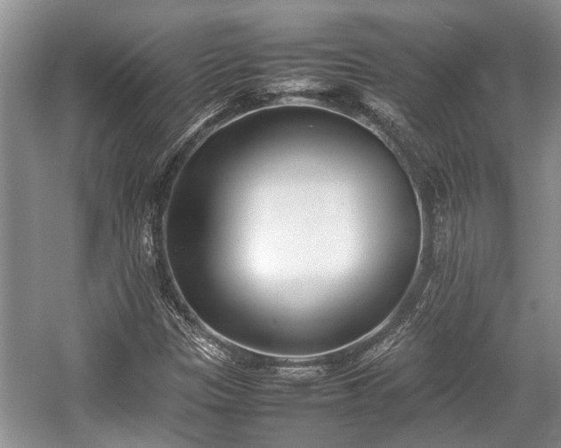 X0000057061305200509161441