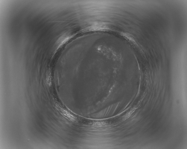 X0000057061306200509161441