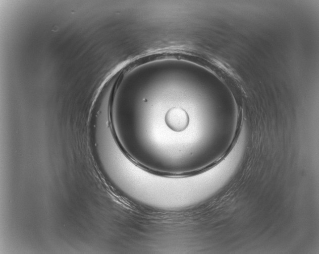 X0000057061316200509161441