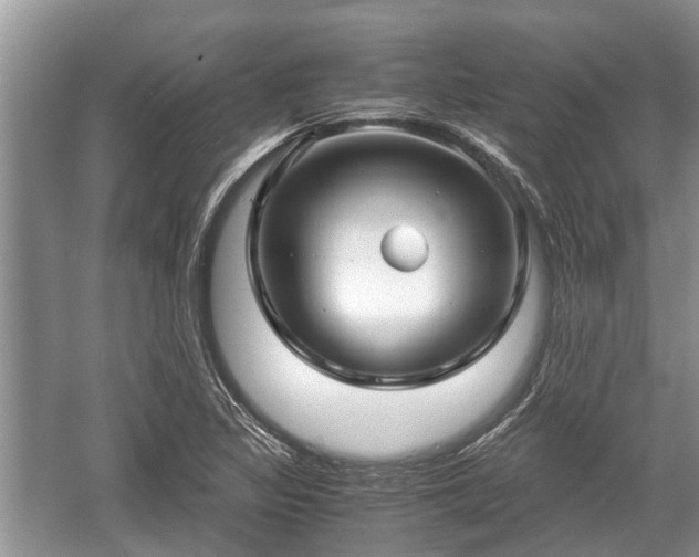 X0000057061317200509161441