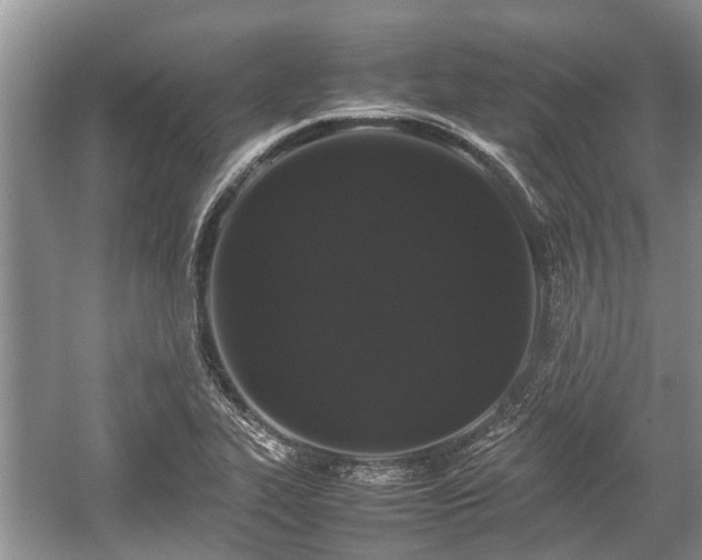 X0000057061319200509161441