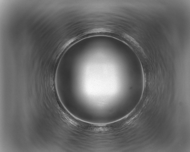 X0000057061321200509161441