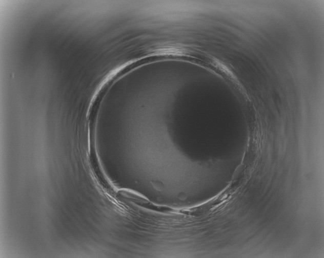 X0000057061323200509161441