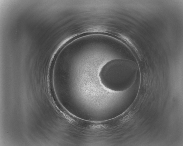 X0000057061331200509161442