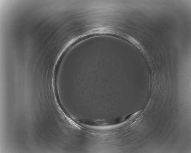 X0000057061334200509161442