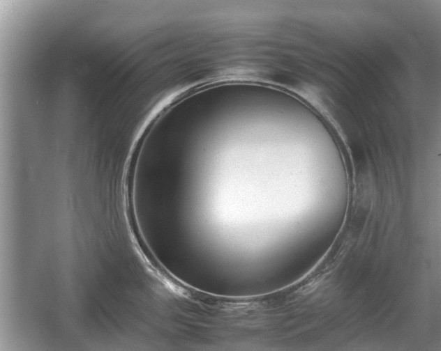 X0000057061341200509161442