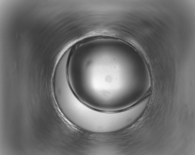 X0000057061344200509161442