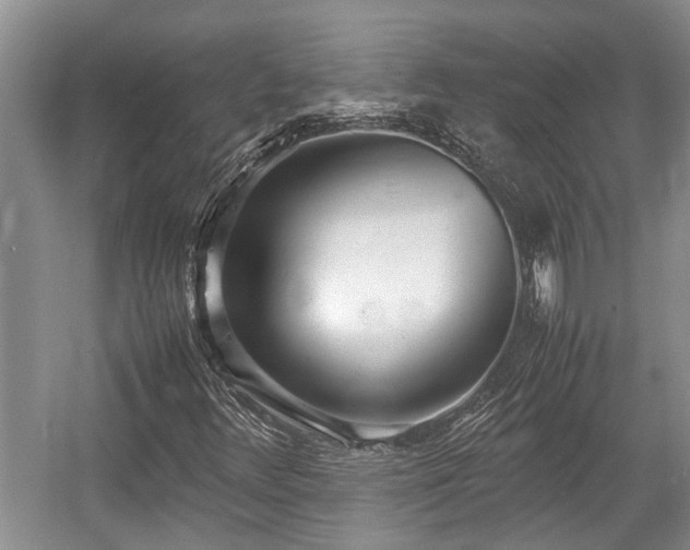 X0000057061348200509161441