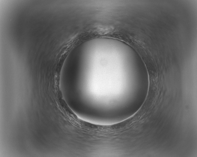 X0000057061349200509161441