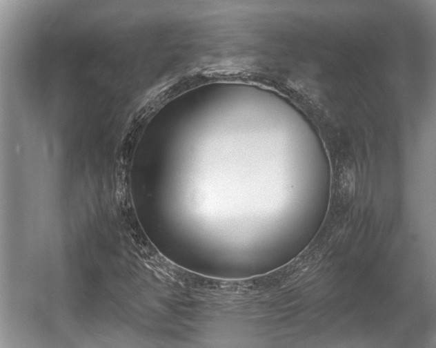 X0000057061350200509161441