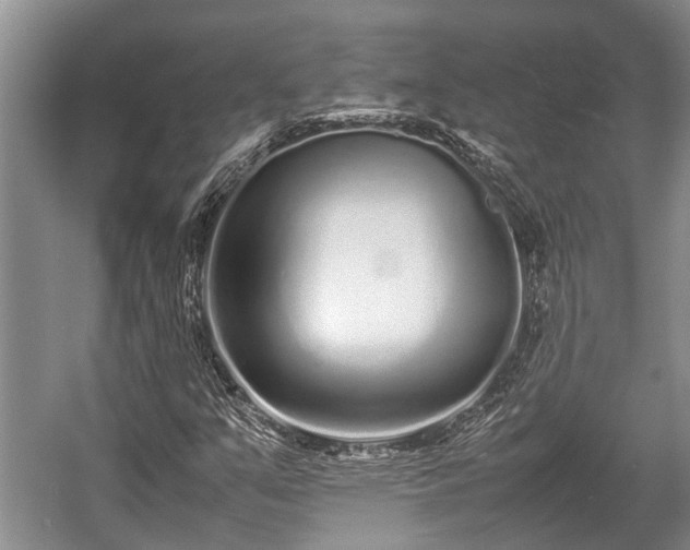 X0000057061351200509161441