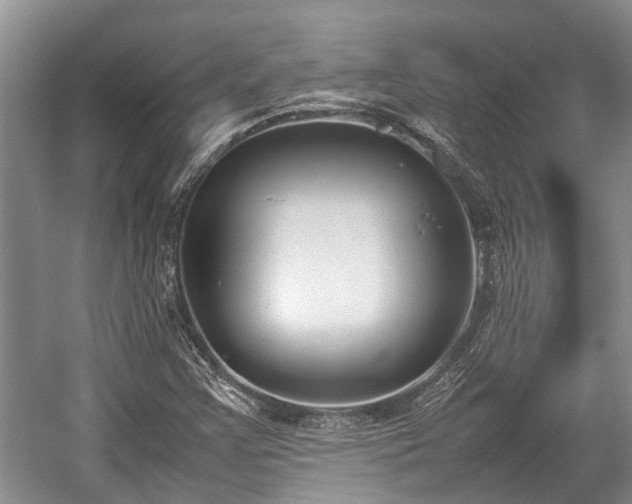 X0000057061355200509161441