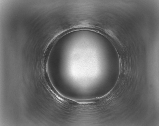 X0000057061356200509161441