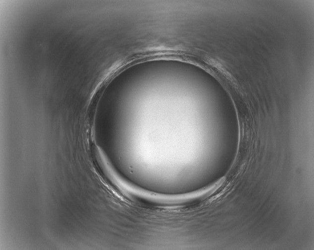 X0000057061357200509161441