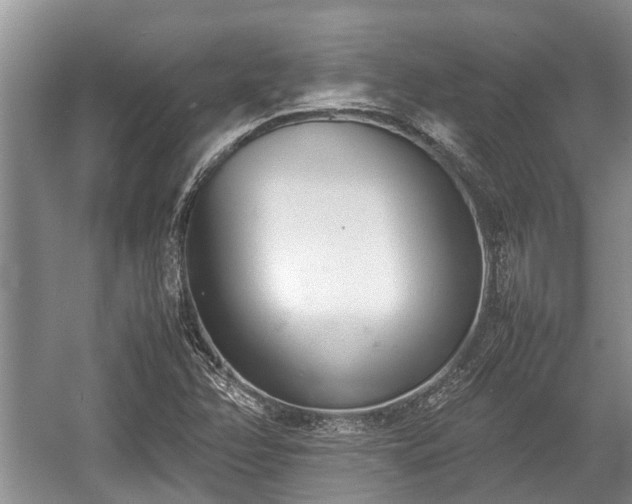 X0000057061358200509161441