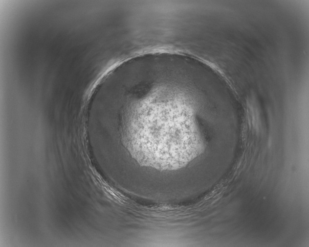 X0000057061359200509161441