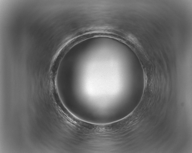 X0000057061360200509161441